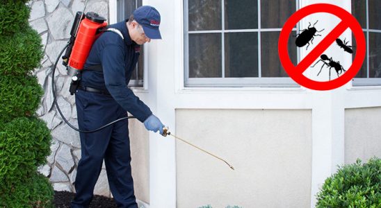 Gürgentepe Bit İlaçlama böcek ilaçlama ve haşere kontrolü — ilaclama-tr.com